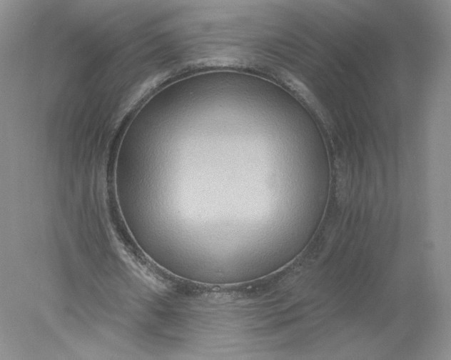 X0000078280482200611172100