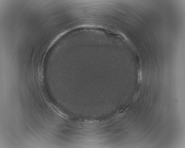 X0000078280484200611172100