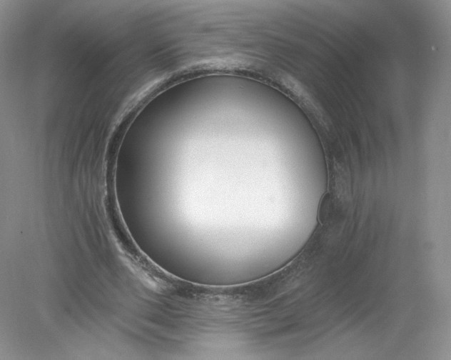 X0000078280486200611172100