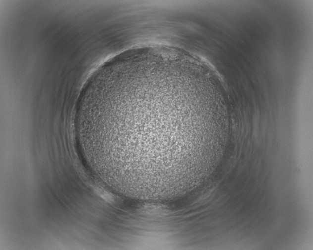 X0000078280487200611172100