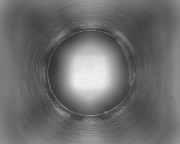 X0000078280489200611172100