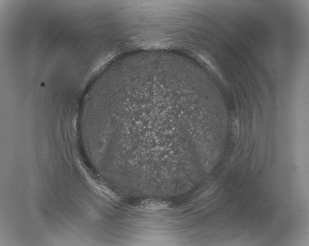 X0000078280491200611172100