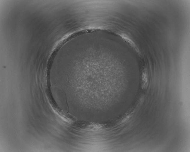 X0000078280492200611172100