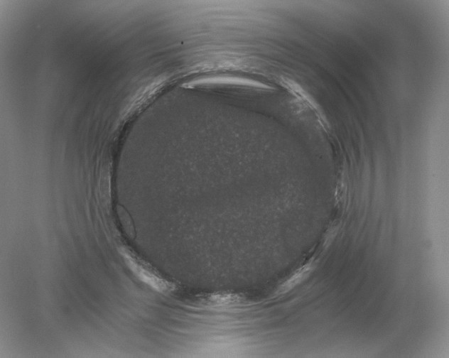 X0000078280493200611172100