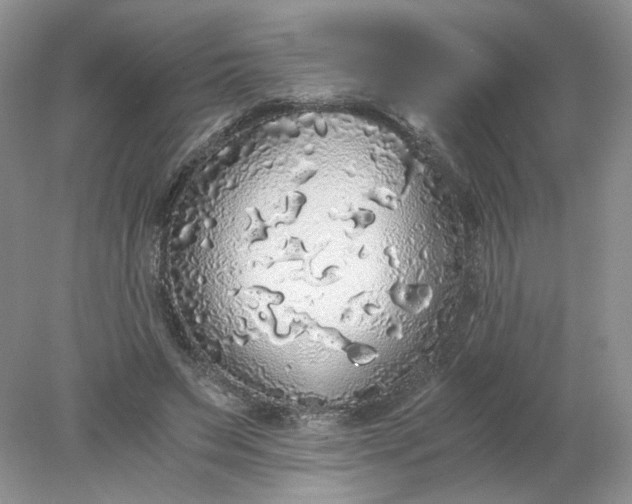 X0000078280495200611172100