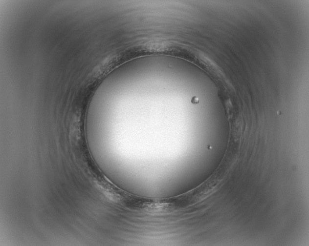 X0000078280497200611172100