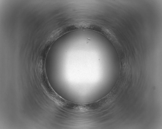 X0000078280498200611172100