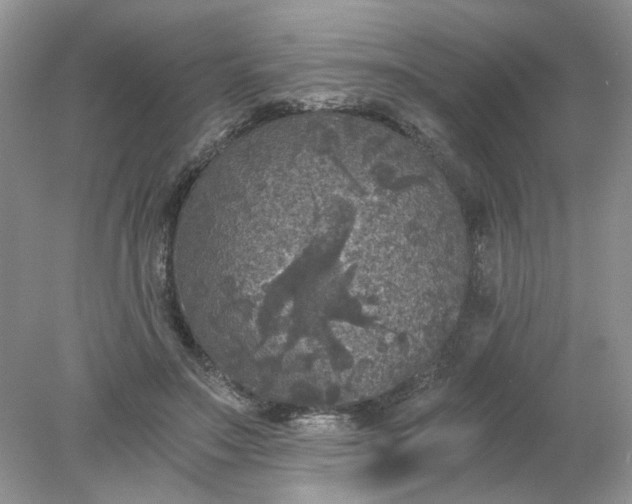 X0000078280499200611172100