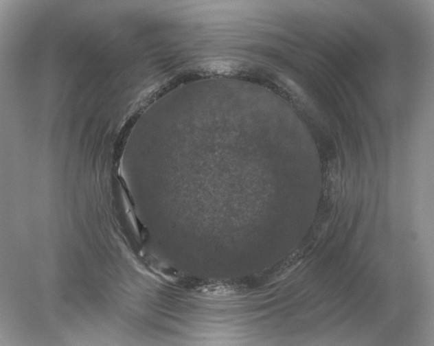 X0000078280500200611172100