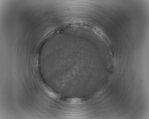 X0000078280501200611172100