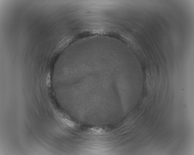 X0000078280502200611172100