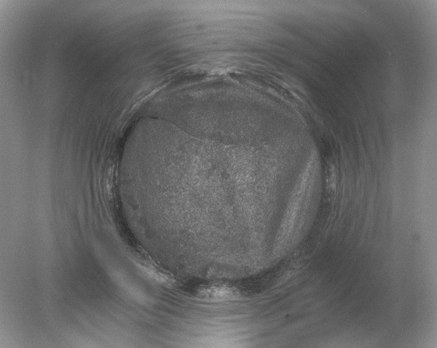 X0000078280503200611172100