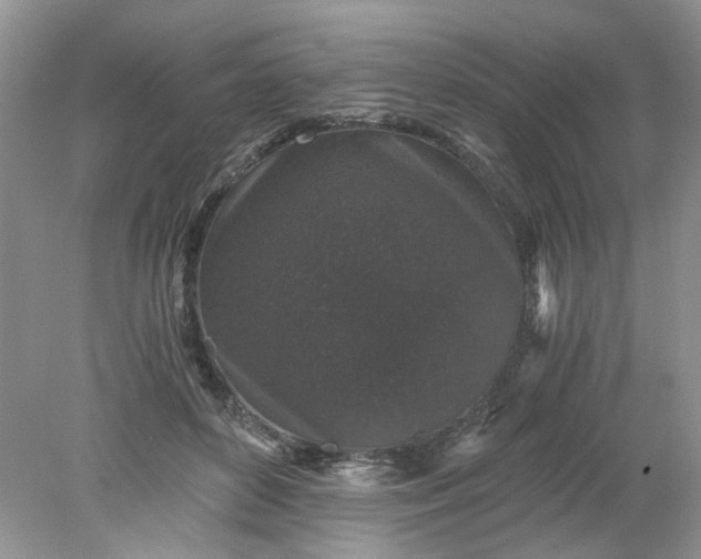 X0000078280504200611172100