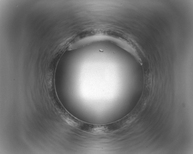 X0000078280505200611172100