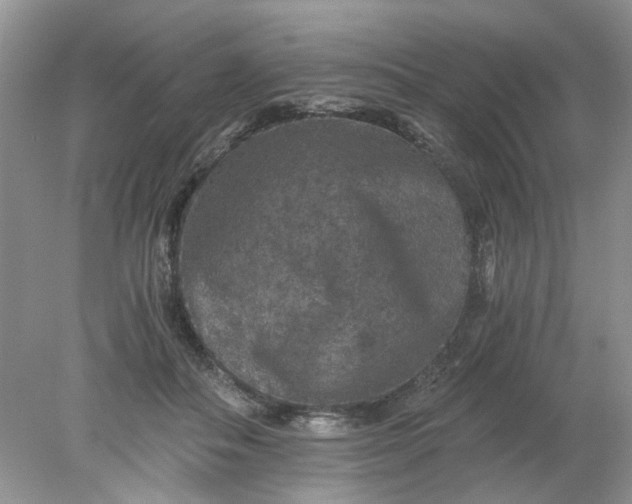 X0000078280506200611172100