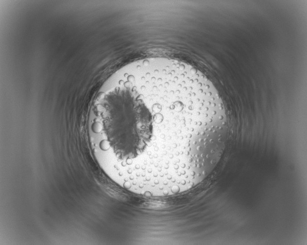 X0000078280507200611172100