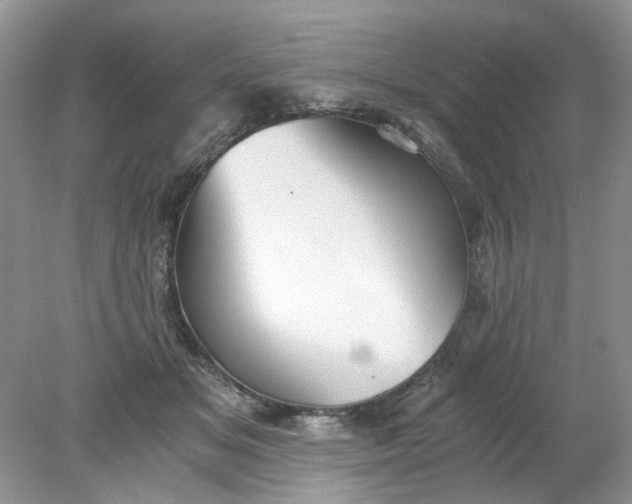 X0000078280509200611172100