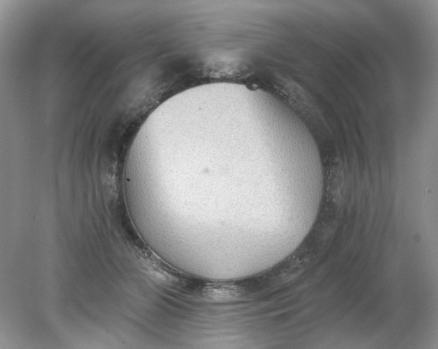 X0000078280510200611172100