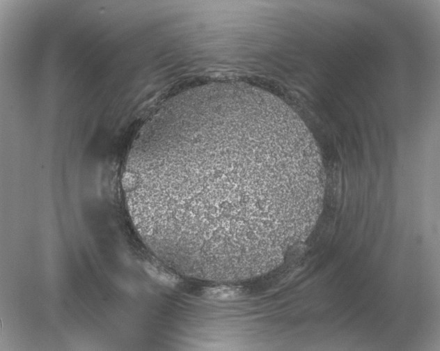 X0000078280511200611172100