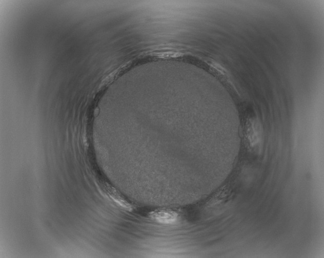 X0000078280512200611172100