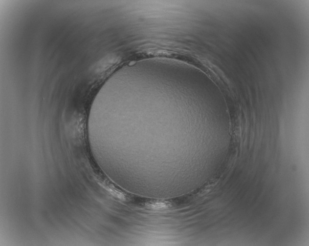 X0000078280513200611172100