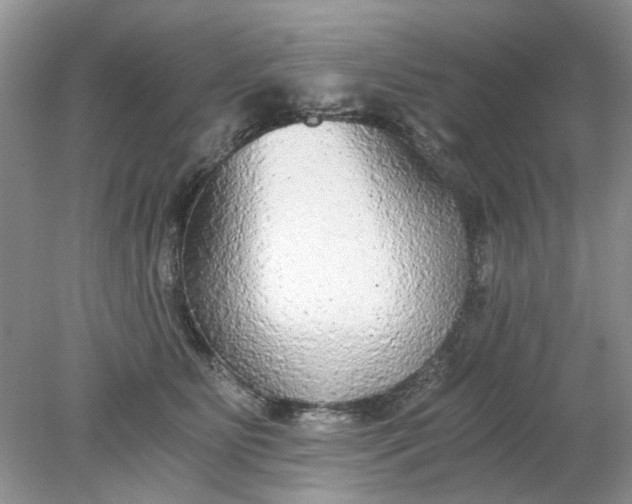 X0000078280515200611172100