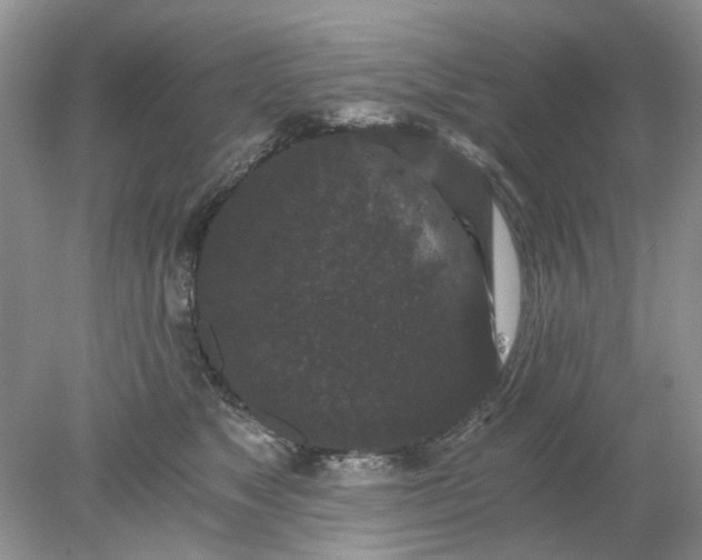 X0000078280517200611172100