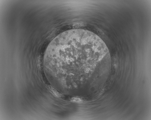 X0000078280519200611172100