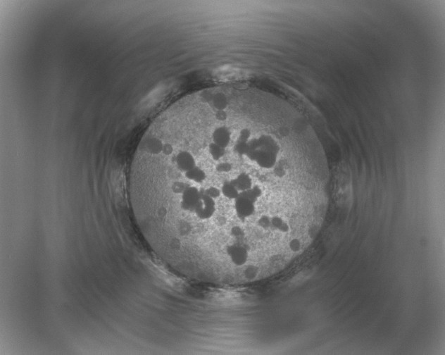 X0000078280523200611172100