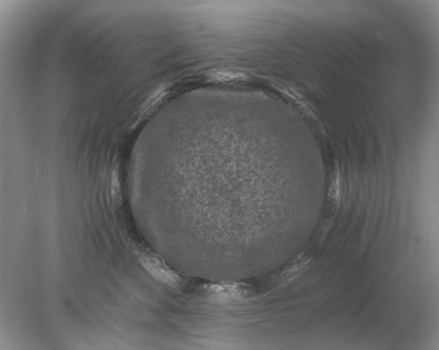 X0000078280524200611172059