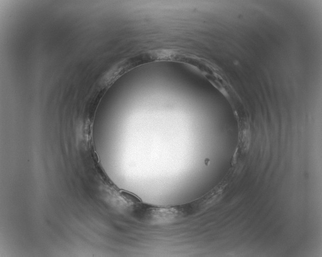 X0000078280525200611172059