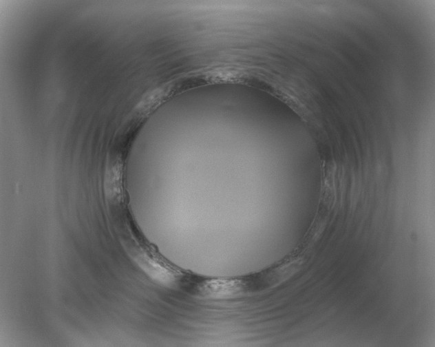 X0000078280526200611172059