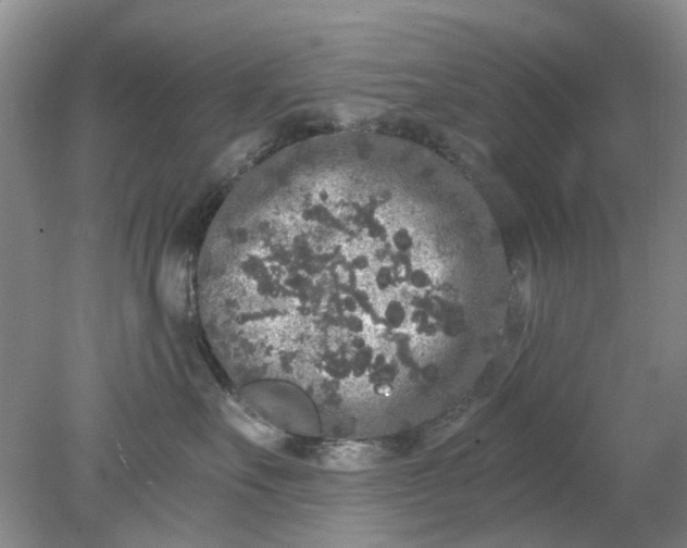 X0000078280527200611172059