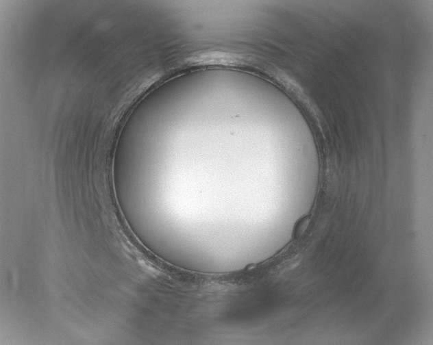 X0000078280529200611172059