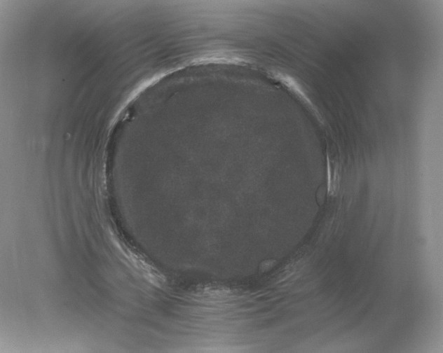 X0000078280531200611172059