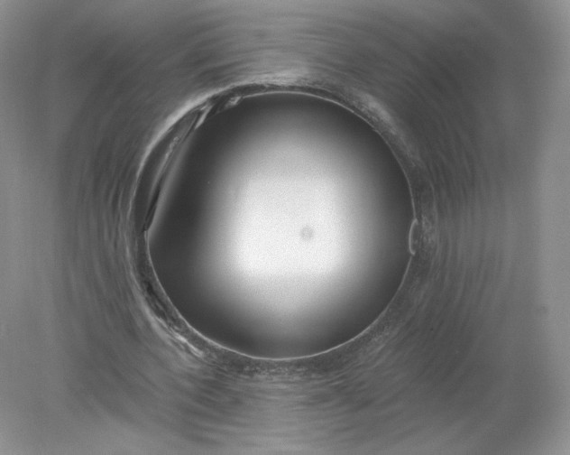 X0000078280532200611172059