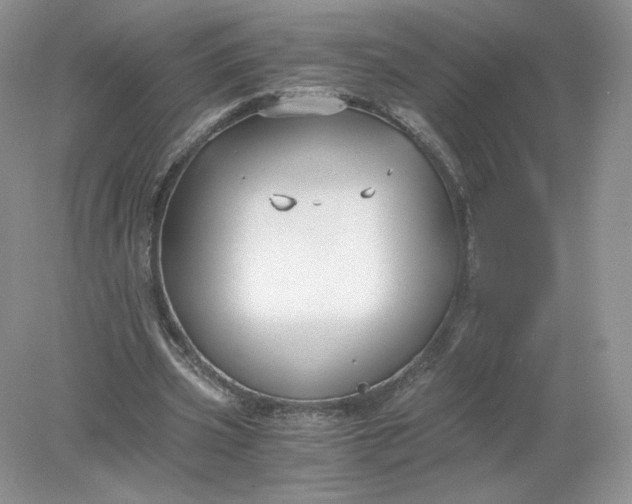 X0000078280533200611172059