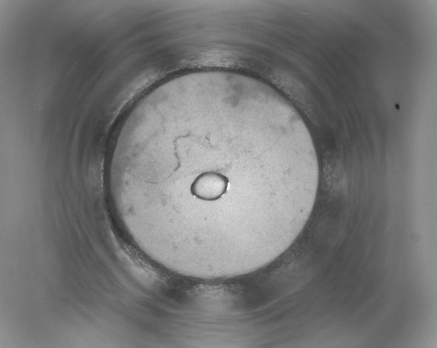 X0000078280534200611172059