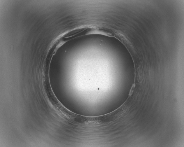 X0000078280536200611172059