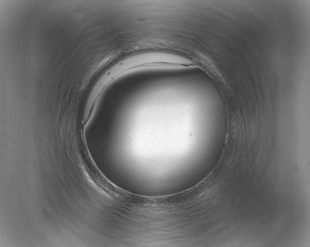 X0000078280538200611172059