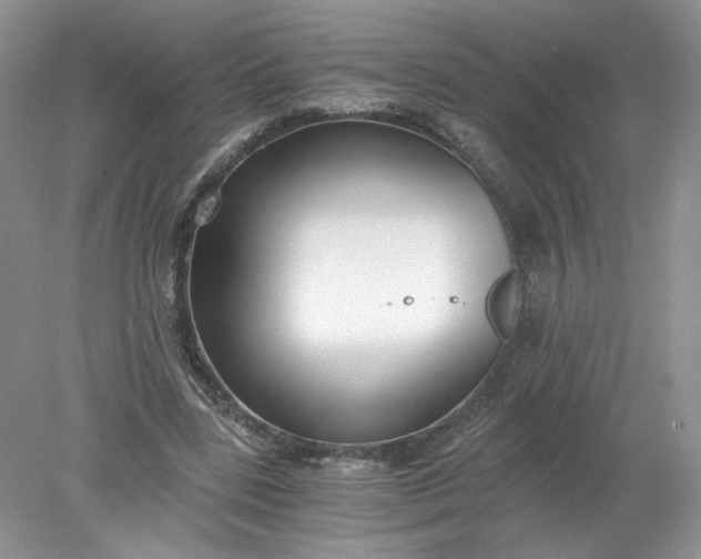 X0000078280539200611172059