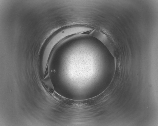 X0000078280540200611172059