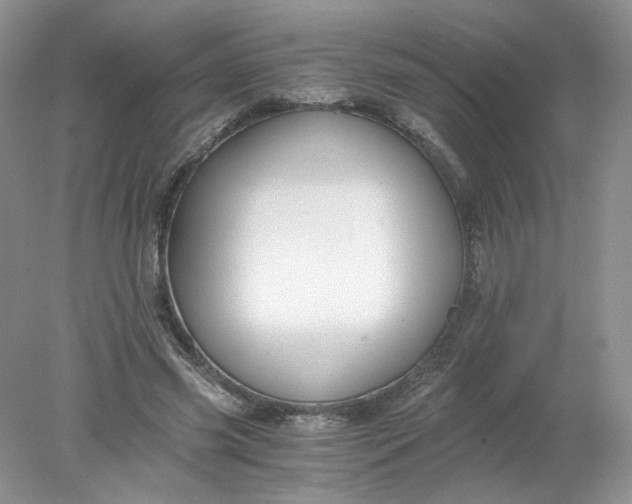 X0000078280541200611172059