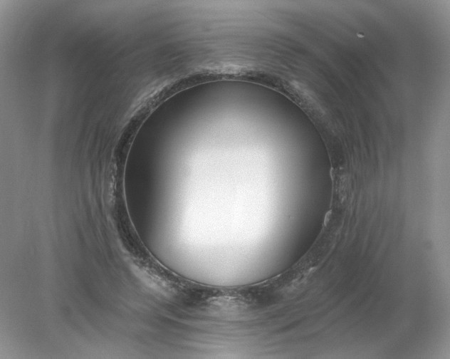 X0000078280544200611172059