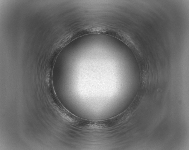 X0000078280545200611172059