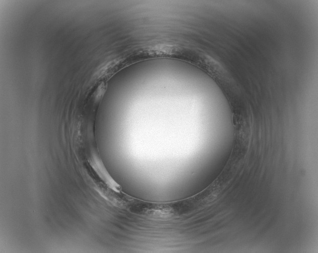 X0000078280548200611172059