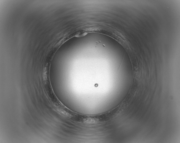 X0000078280549200611172059