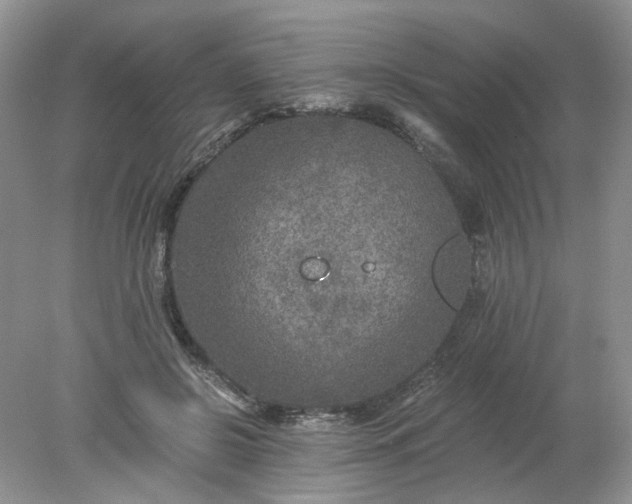 X0000078280550200611172059