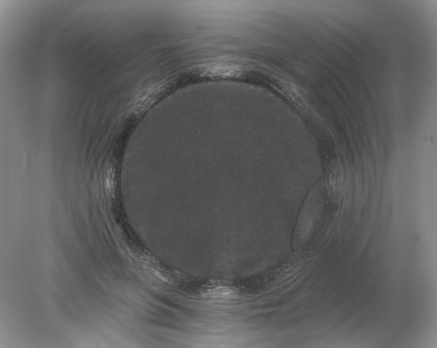 X0000078280551200611172059