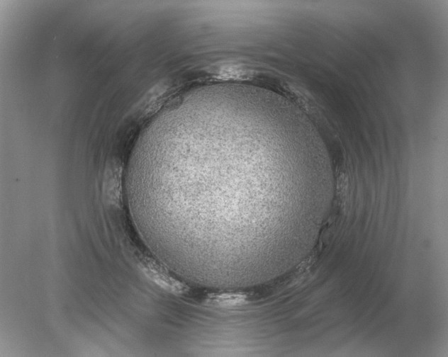 X0000078280554200611172059